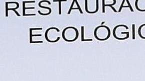 Gabriel Soto sorprende a Irina Baeva | Mezcalent.