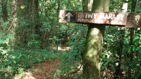 El Camino de Peabirú: la antigua y misteriosa ruta indígena de miles de kilómetros que conecta el Atlántico con el Pacífico