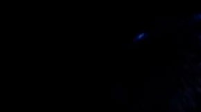 Por qué pronto tendrás un gemelo digital (y para qué sirven)