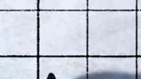 Qué es un "bear market" como el que vive ahora la bolsa y por qué es un indicio de una crisis económica