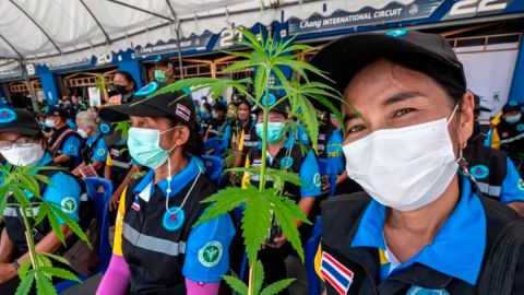 El país que pasó de perseguir las drogas con pena de muerte a ser quizás el más liberal del mundo ante la marihuana