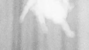 La trágica historia de Patrice Lumumba, el líder congolés asesinado del que solo quedó un diente de oro