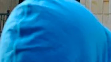 Petro presidente: cómo operaba la guerrilla M-19 y qué papel tuvo el presidente electo de Colombia