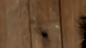 Arrestan a un hombre chino acusado de grabar y difundir videos racistas de menores en África tras una investigación de la BBC