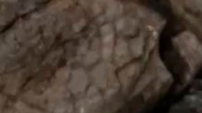 La respuesta de Putin a las mofas de los líderes del G7 por sus fotos sin camisa