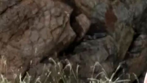 La respuesta de Putin a las mofas de los líderes del G7 por sus fotos sin camisa