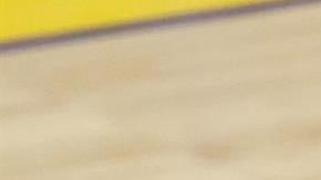 El pívot dominicano ha sido uno de os mejores de Boston.