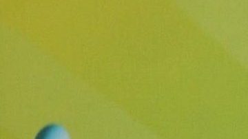 Fernando del Solar | Mezcalent.