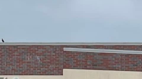 Asambleísta Miguel Santiago (c) aboga por educación gratuita en los colegios comunitarios. (Suministrada)