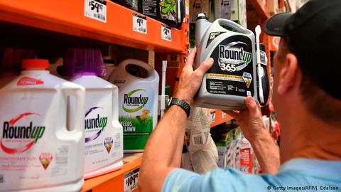 Corte Suprema de Estados Unidos ratifica condena a Monsanto
