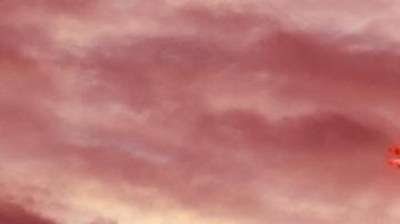 COVID-19: nueva ola de ómicron se extiende por Europa