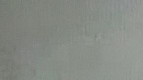 Presentan en Rusia nueva acusación contra Alexei Navalni