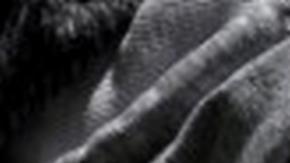 Países del G7 anuncian más cooperación para libertad de prensa