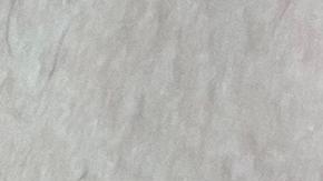 OMS reporta 780 casos de viruela del mono, la mayoría en Europa