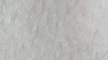 OMS reporta 780 casos de viruela del mono, la mayoría en Europa