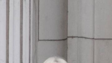 Isabel II, conmovida por festejos del "jubileo de platino"