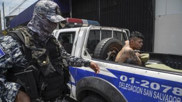 Nayib Bukele: hay que "arreciar la guerra contra las pandillas" en El Salvador