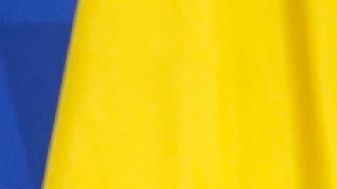 Estados Unidos renunciará casi completamente a las minas antipersona