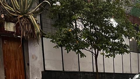 Fuerte granizada provoca afectaciones en Ciudad de México