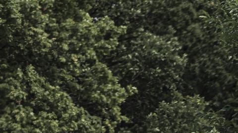 Ejército en Ucrania repele ataques y resiste en Severodonetsk, pese bombardeos durante las 24 horas del día