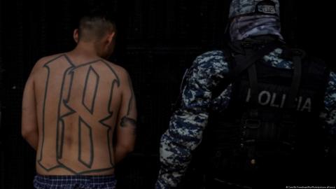 Altos maAltos mandos de pandillas salvadoreñas huyeron a Méxicondos de pandillas salvadoreñas huyeron a México