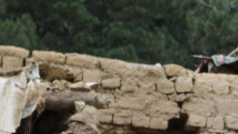 UE urge ayuda internacional para Afganistán tras terremoto