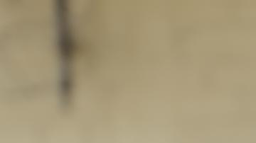 Pandilleros salvadoreños de la "Mara Salvatrucha MS" y de la "Mara Barrio 18" durante un registro realizado por equipos de seguridad en las cárceles de Quezaltepeque.