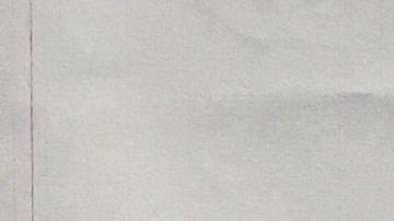 "Ensalada rusa" en el menú del café de la cumbre de la OTAN genera desconcierto