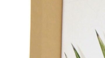 Pablo Montero | Mezcalent