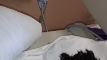 Francisco Azcona necesita de tu ayuda para sobrellevar la tragedia que enfrenta. (Cortesía)