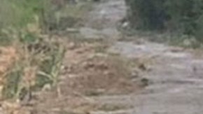 7 cuerpos en Aquismón, San Luis Potosí