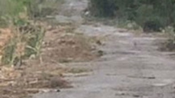 7 cuerpos en Aquismón, San Luis Potosí