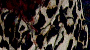 Thalía y su abuelita Eva Mange.