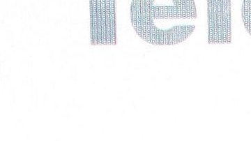 Yordi Rosado | Mezcalent.