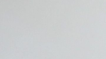 Juan Vidal | Mezcalent.