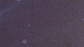 Laura Bozzo | Mezcalent.