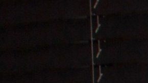 Daniela Luján | Mezcalent.