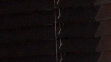 Daniela Luján | Mezcalent.