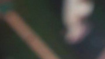 Galilea Montijo confiesa que estuvo cerca de llegar a Garibaldi | Mezcalent.