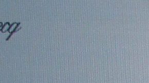 Salvador Zerboni | Mezcalent.