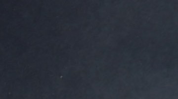 impuesto armas de fuego