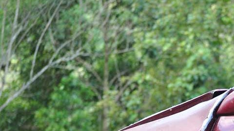 El conductor de tan sólo 13 años fue acusado de asesinato.