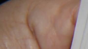 Álbum coleccionable de cromos del Mundial.