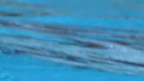 Anita Álvarez se desvaneció mientras realizaba sus ejercicio en la final de sólo libre de natación artística.
