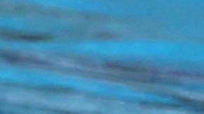 Anita Álvarez se desvaneció mientras realizaba sus ejercicio en la final de sólo libre de natación artística.