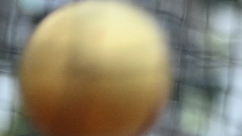 Anita Wlodarczyk en los Juegos Olímpicos de Tokio 2020.