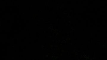 Asciende a 27 los mexicanos muertos en el tráiler abandonado en San Antonio, informó cónsul