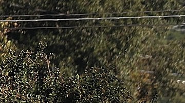 Bombera veterana y madre de dos muere mientras enseñaba técnicas de rescate en un río