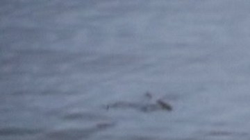 Bomberos de El Paso, Texas, han recuperado al menos cinco cuerpos de inmigrantes.