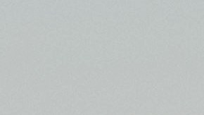 Boy Scout consoló a camionero agoniozante tras descarrilamiento de tren Amtrak en Missouri